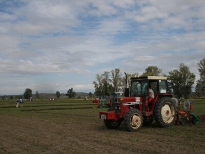 Drugi dan 59. svjetskog natjecanja u oranju