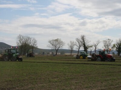 Drugi dan 59. svjetskog natjecanja u oranju