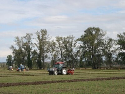 Drugi dan 59. svjetskog natjecanja u oranju