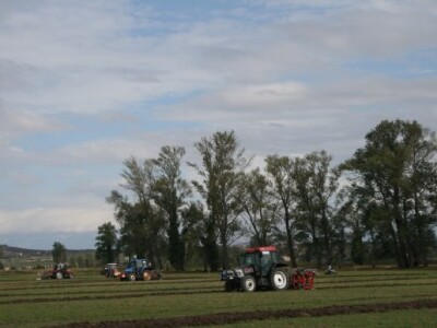 Drugi dan 59. svjetskog natjecanja u oranju