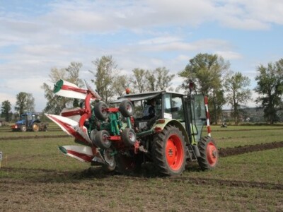 Drugi dan 59. svjetskog natjecanja u oranju