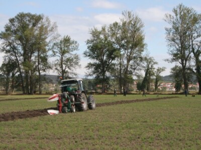 Drugi dan 59. svjetskog natjecanja u oranju