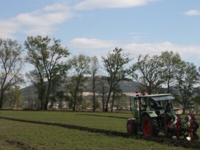 Drugi dan 59. svjetskog natjecanja u oranju