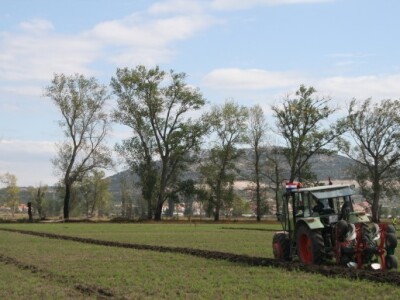 Drugi dan 59. svjetskog natjecanja u oranju