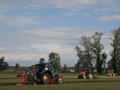 Drugi dan 59. svjetskog natjecanja u oranju