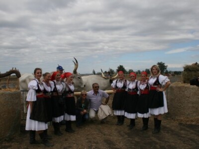 Drugi dan 59. svjetskog natjecanja u oranju