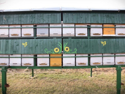 Košnice sa pčelama