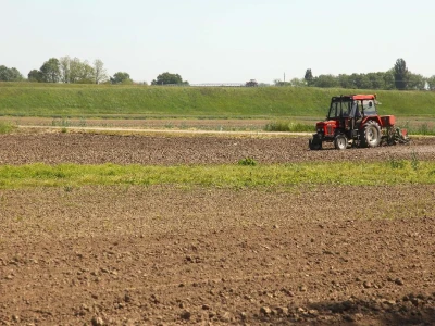 OPG Drožđek širi proizvodnju industrijske rajčice