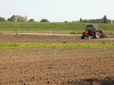 OPG Drožđek širi proizvodnju industrijske rajčice