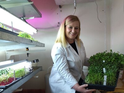 Proizvodnja mladih izdanaka na PPF UNSA Proizvodnja mladih izdanaka na PPF UNSA