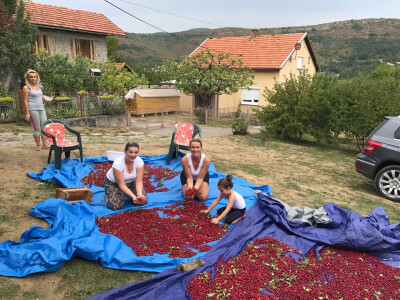 Đuro Pećanac bavi se preradom drenjine