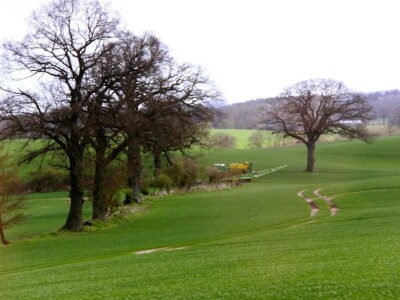 Imanje obitelji von Buchwaldt