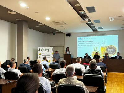 Hercegovačko maslinovo ulje postaje zaštićen brend