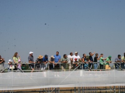 Utrka ubrzanja traktora na 100 metara!