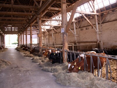 Die Grüne Kiste farma