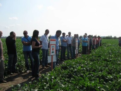 Okupljeni poljoprivredni proizvođači na Danima polja šećerne repe KWS-a
