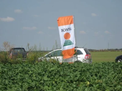 Dani polja KWS sorata šećerne repe 2013