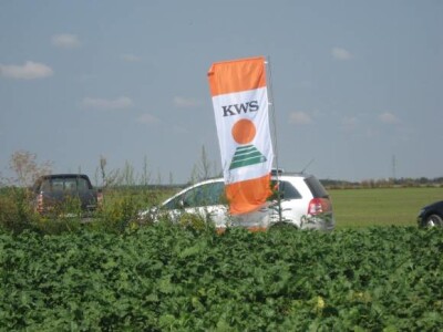 Dani polja KWS sorata šećerne repe 2013