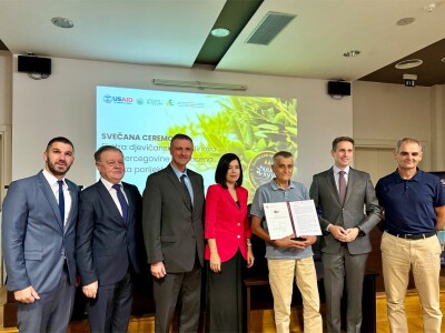 Hercegovačko maslinovo ulje postaje zaštićen brend