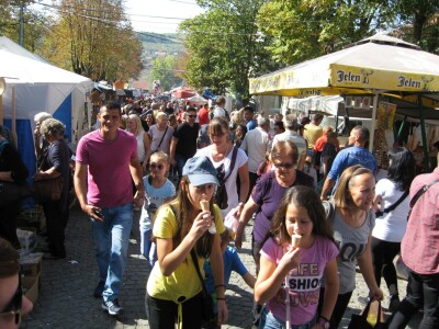 Oplenačka berba oborila rekord - "potukla" sve manifestacije u Srbiji!