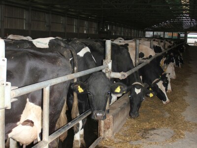 Deutz Fahr 6140 Powershift