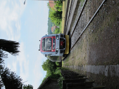 „Najzabavniji festival vina” otvorio je ministar poljoprivrede