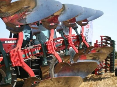 Plug Vogel &amp; Noot