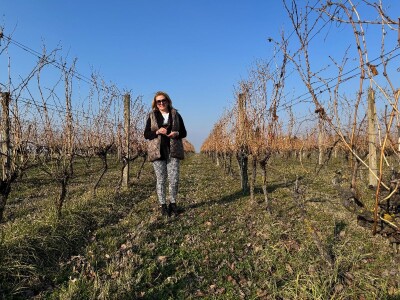 K55 vinarija i destilerija OPG tjedna