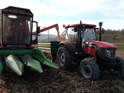 Hibridi kukuruza u sušnoj godini dali oko 10 tona zrna po hektaru