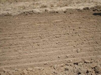 KWS na Agronomovoj prezentaciji u Podgoraču