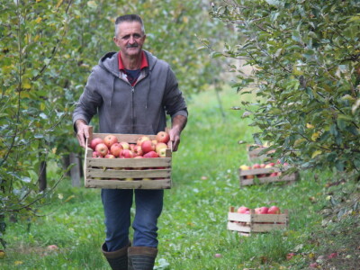 Stjepan Tonković: Dok sam na tržnici sa svojim jabukama, prekupaca nema