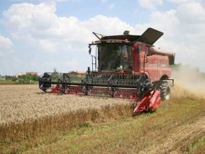 Case kombajn u žetvi pšenice