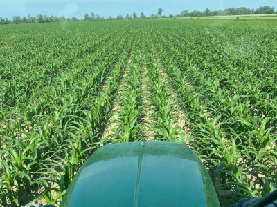 Goran Pravda - kukuruz kokičar