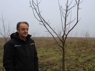 OPG Mladen Miličević