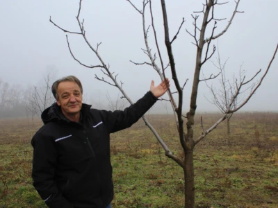 OPG Mladen Miličević