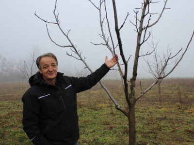 OPG Mladen Miličević