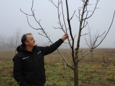 OPG Mladen Miličević