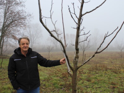 OPG Mladen Miličević