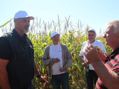 Konzervacijski sustav obrade tla