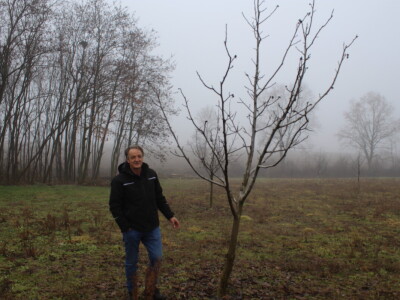 OPG Mladen Miličević