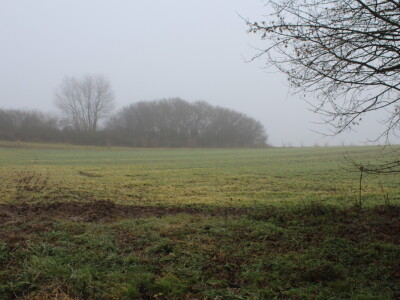 OPG Mladen Miličević