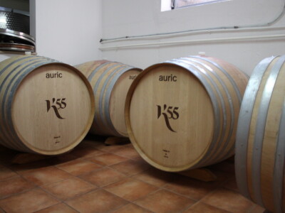 K55 vinarija i destilerija OPG tjedna