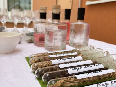 Radionica ljekovitog bilja