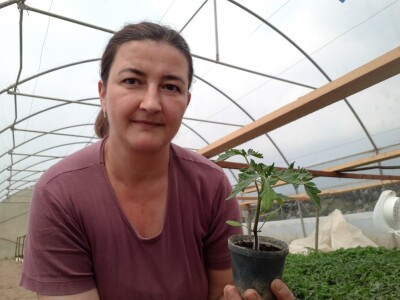 Proizvedemo 3.000 tegli ajvara i do Nove godine sve rasprodamo