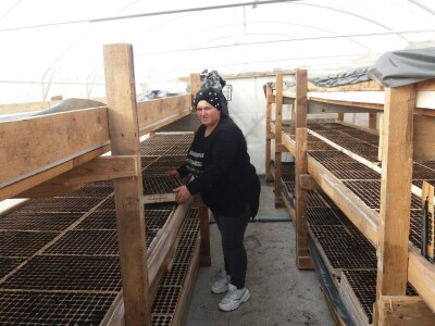 Ne, ja sam rekao da pčelarim od srednje škole. Nisam završio poljoprivrednu nego Gimnaziju. Najveći uticaj na mene i moj najveći mentor bio mi je jadan daljnji kum iz mog sela, Milutin Šokčević, stari