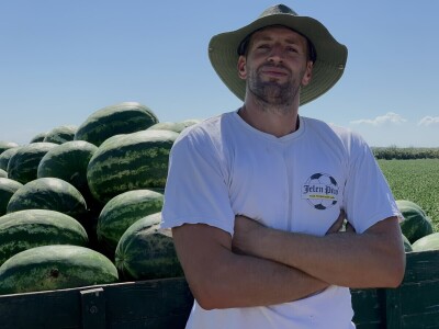 Sava iz Deronja gaji lubenice na površini od 12 hektara