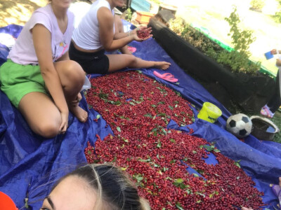 Đuro Pećanac bavi se preradom drenjine