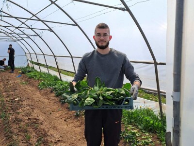 Studenti PPF-a u Sarajevu  donirali proizvedeno povrće