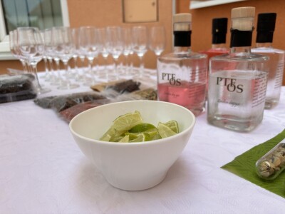 Radionica ljekovitog bilja