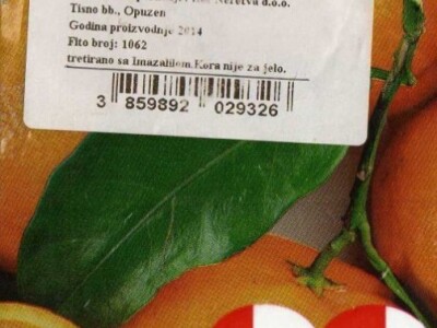 Sve više ljudi kod kuće uzgaja limune i mandarine